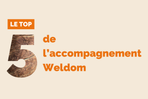 top 5 accompagnement weldom